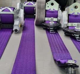 Purple seat belts